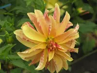 Bilda 0263.webp