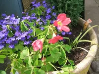 17.6 011.webp