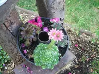 garten 007.webp