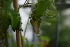 P1130090.webp