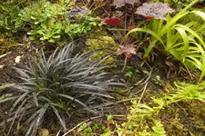 2014_0702sommer0002.webp