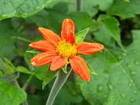DSCN8842.webp