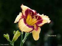 IMG_2267.webp