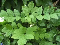 BILD3041.webp