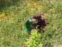 BILD3029.webp