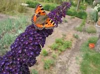 02.07.2014 005.webp