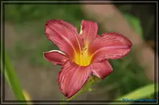 Überraschung4.webp