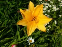 k-DSCI2691.webp