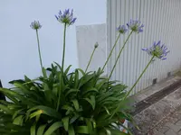 P1130810.webp