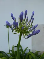 P1130811.webp