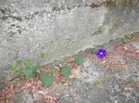 P1130910.webp