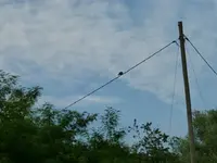 P1130790.webp