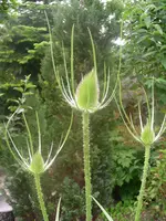 DSCN0124.webp
