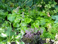 DSCN8851.webp
