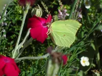 SAM_4824.webp