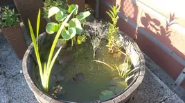 20140703_195851.webp