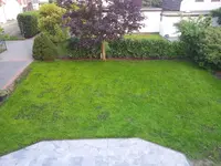 20140703_211522.jpg