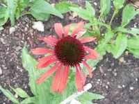 025.webp