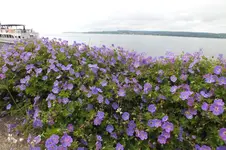 2014_0703sommer0001.webp