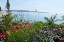 2014_0703sommer0003.webp