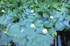 2014_0703sommer0072.webp