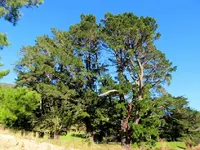 Copy of IMG_8912v.webp