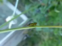P1130941.webp