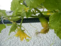 DSCF5352.webp
