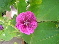 DSCN8873.webp