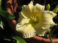anja 2_1024x768.webp