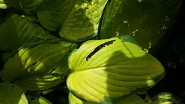 2014-07-04 14.11.50.webp