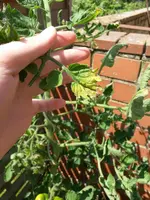 20140704_152630.webp