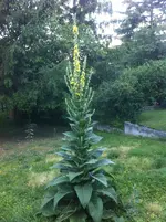 Foto 1.webp