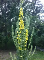 Foto 2.webp
