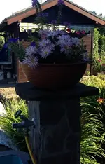 Brunnen.webp