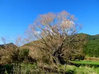 IMG_8896v (1).webp