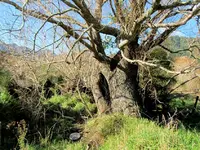 IMG_8898v (1).webp