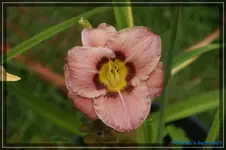 Überraschung5.webp