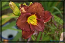 Überraschung7.webp