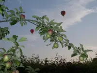IMGP6757.webp