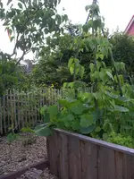 IMGP6751.webp