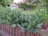 IMGP6749.webp
