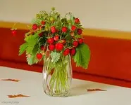 IMG_1500.webp