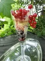 CIMG7999.webp