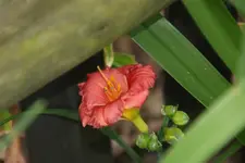 412_4 (1).webp