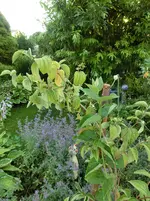 CIMG8173.webp