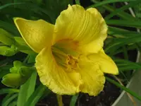 038_1024x768.webp