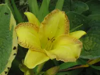 angle unowars1_1024x768.webp