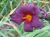 stayford1_1024x768.webp