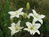 032_1024x768.webp